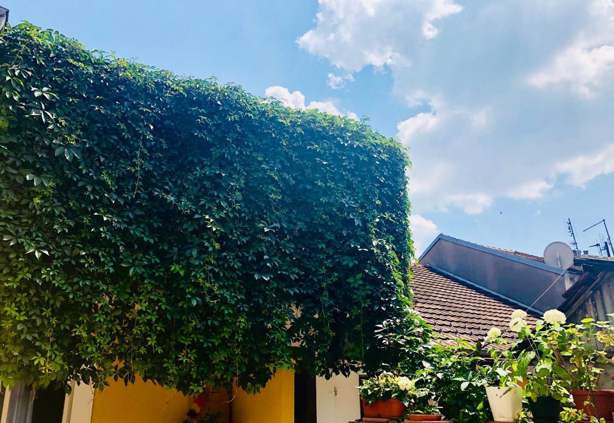 Zemoon Apartment Belgrad Exterior foto