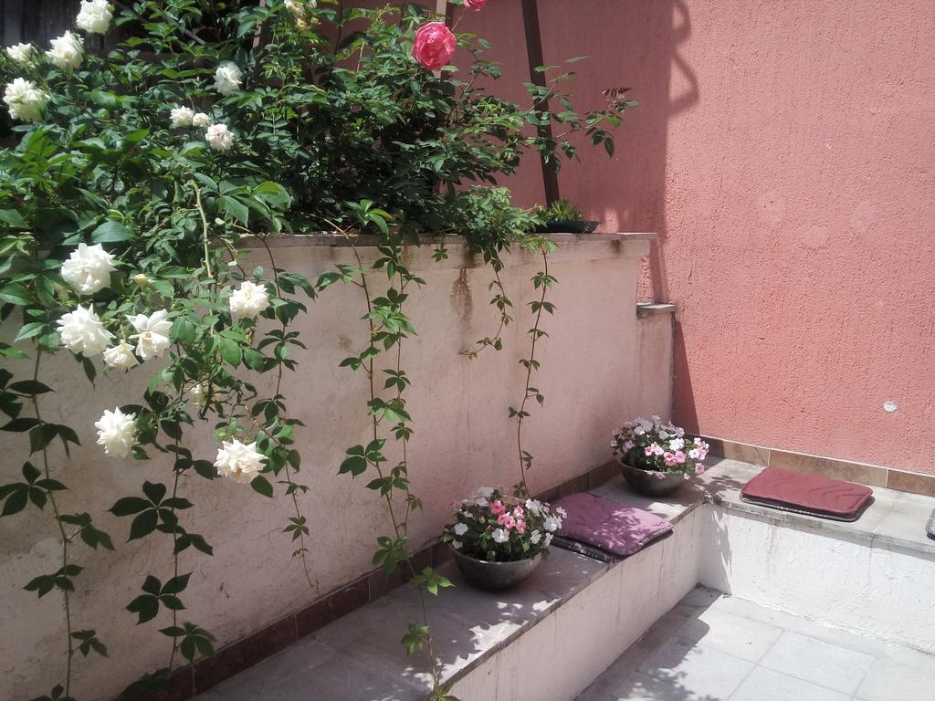 Zemoon Apartment Belgrad Exterior foto